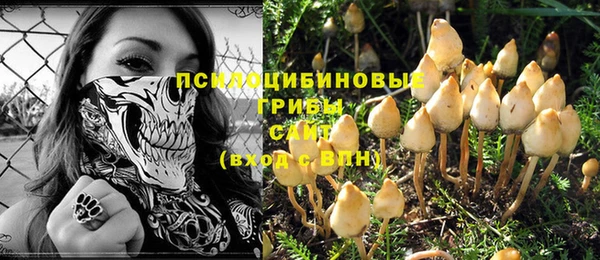 прущий лед Волосово
