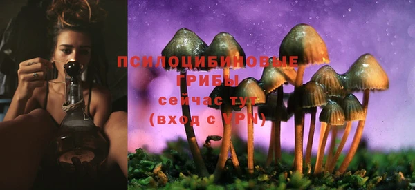 прущий лед Волосово